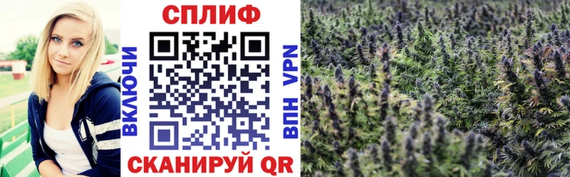 Хочу наркоту Белокуриха Амфетамин  A-PVP  Кодеин  Героин  КОКАИН  МЕФ 