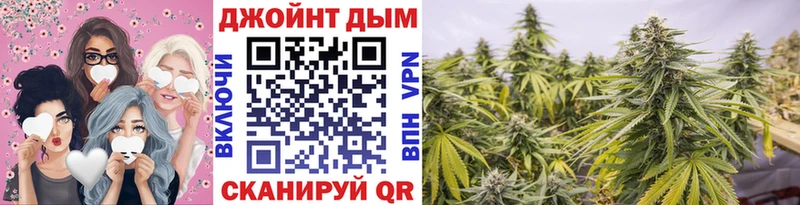 Каннабис план Белокуриха